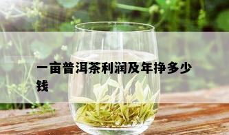 一亩普洱茶利润及年挣多少钱