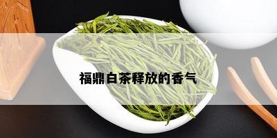 福鼎白茶释放的香气