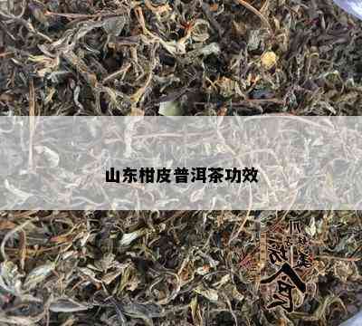 山东柑皮普洱茶功效