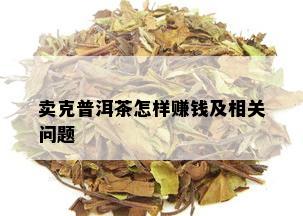 卖克普洱茶怎样赚钱及相关问题