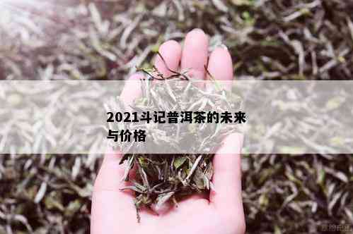 2021斗记普洱茶的未来与价格