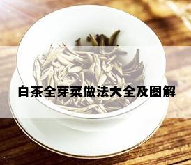 白茶全芽菜做法大全及图解