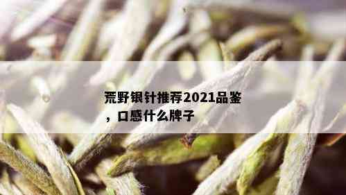 荒野银针推荐2021品鉴，口感什么牌子