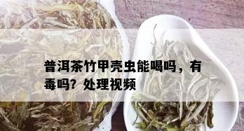 普洱茶竹甲壳虫能喝吗，有吗？处理视频