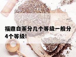 福鼎白茶分几个等级一般分4个等级!