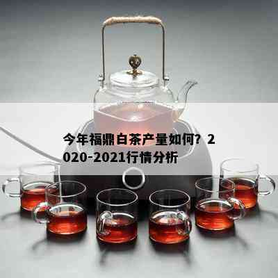 今年福鼎白茶产量如何？2020-2021行情分析