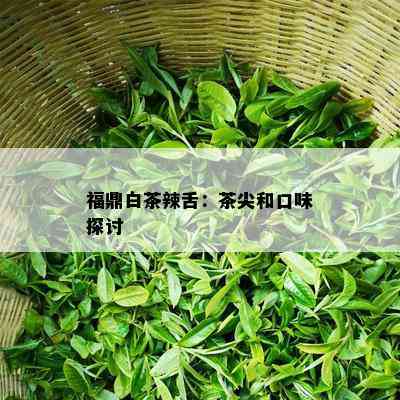 福鼎白茶辣舌：茶尖和口味探讨