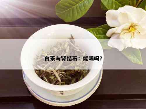 白茶与肾结石：能喝吗？