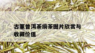 古董普洱茶摘茶图片欣赏与收藏价值