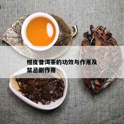 柑皮普洱茶的功效与作用及禁忌副作用