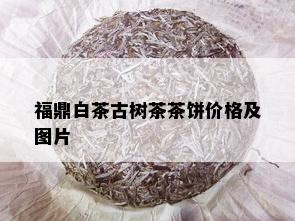 福鼎白茶古树茶茶饼价格及图片