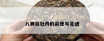 八狮白牡丹的前世与足迹