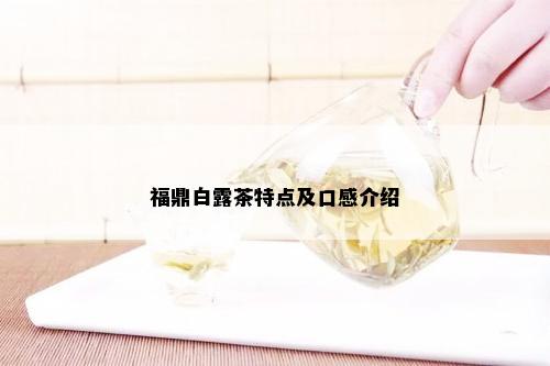 福鼎白露茶特点及口感介绍