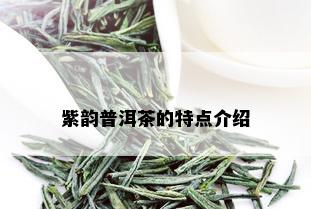 紫韵普洱茶的特点介绍