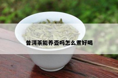 普洱茶能养壶吗怎么煮好喝