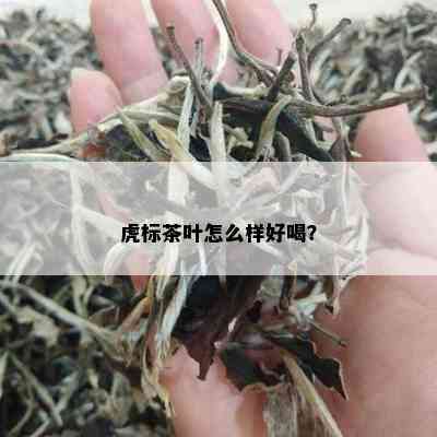 虎标茶叶怎么样好喝？