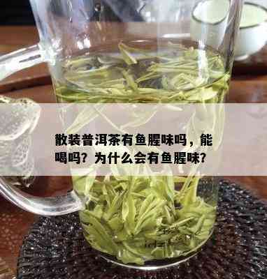 散装普洱茶有鱼腥味吗，能喝吗？为什么会有鱼腥味？