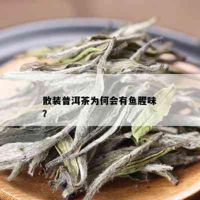 散装普洱茶为何会有鱼腥味？