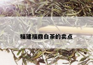 福建福鼎白茶的卖点