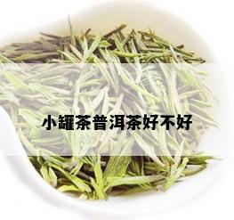 小罐茶普洱茶好不好