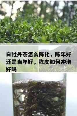 白牡丹茶怎么陈化，陈年好还是当年好，陈皮如何冲泡好喝