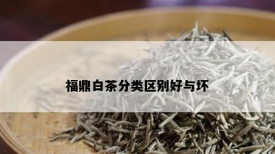 福鼎白茶分类区别好与坏