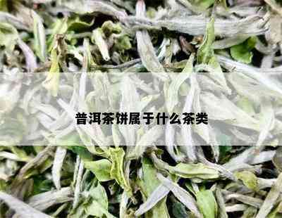 普洱茶饼属于什么茶类