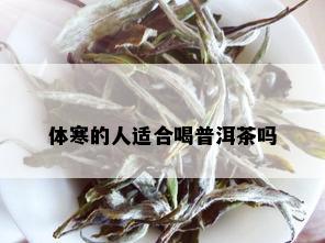 体寒的人适合喝普洱茶吗