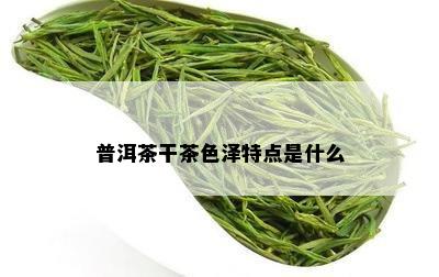 普洱茶干茶色泽特点是什么