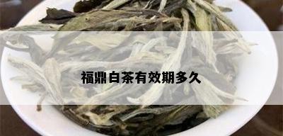 福鼎白茶有效期多久