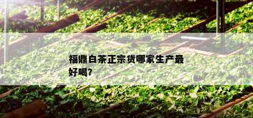 福鼎白茶正宗货哪家生产更好喝？