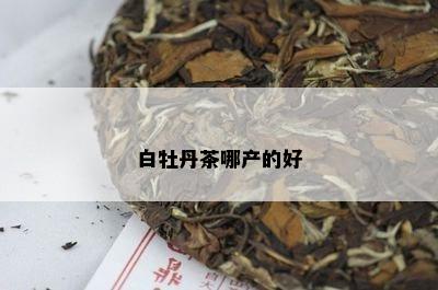 白牡丹茶哪产的好