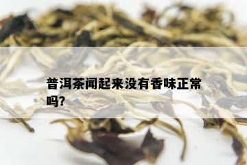 普洱茶闻起来没有香味正常吗？