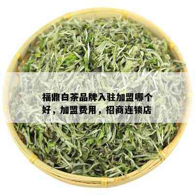 福鼎白茶品牌入驻加盟哪个好，加盟费用，招商连锁店