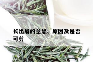 长出眉的意思、原因及是否可剪