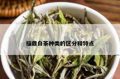 福鼎白茶种类的区分和特点