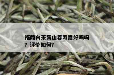 福鼎白茶高山春寿眉好喝吗？评价如何？