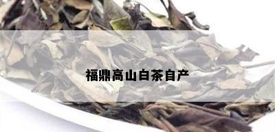 福鼎高山白茶自产