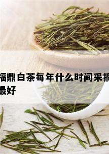 福鼎白茶每年什么时间采摘更好