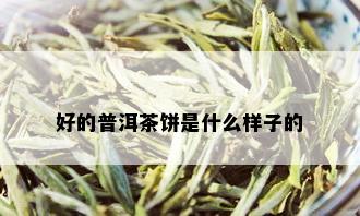 好的普洱茶饼是什么样子的