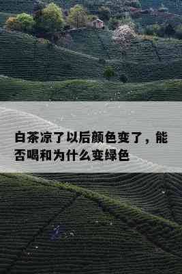 白茶凉了以后颜色变了，能否喝和为什么变绿色