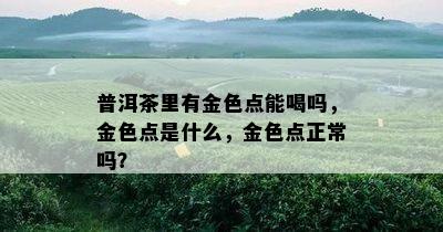 普洱茶里有金色点能喝吗，金色点是什么，金色点正常吗？