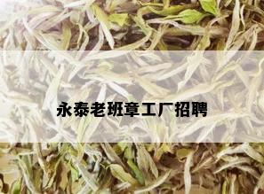 永泰老班章工厂招聘