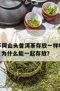 不同山头普洱茶存放一样吗？为什么能一起存放？