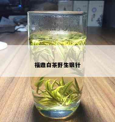 福鼎白茶野生银针