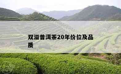 双溢普洱茶20年价位及品质