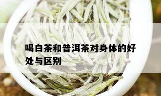 喝白茶和普洱茶对身体的好处与区别