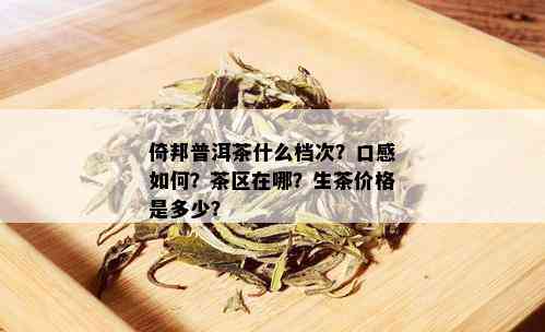 倚邦普洱茶什么档次？口感如何？茶区在哪？生茶价格是多少？