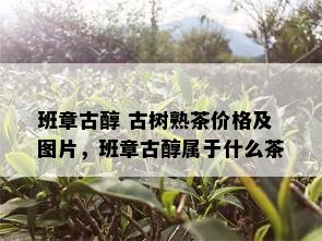 班章古醇 古树熟茶价格及图片，班章古醇属于什么茶