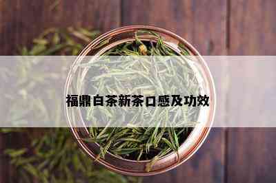 福鼎白茶新茶口感及功效